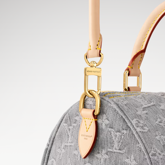 LV x TM Speedy Soft 30 Bag