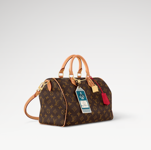 LV x TM Speedy Soft 30 Crafty Bag