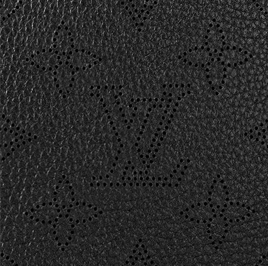 LV x TM Carmel Hobo Bag